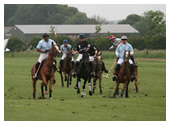 polo