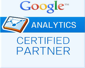 Google analytics partner
